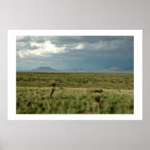Desert Storm Print