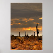 Desert Storm Print