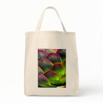 Desert Succulent in Bright Sun and Shade Bags