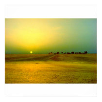 Desert Sunrise posters