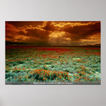 Desert sunset on a field of California poppies Print
