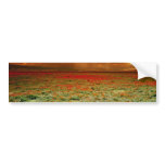 California+poppy+fields+location