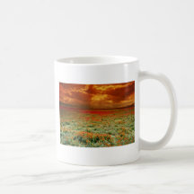 Desert sunset on a field of California poppies, U. Mugs