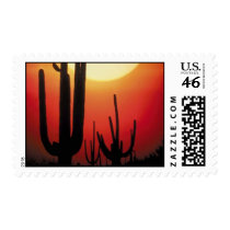 Desert Sunset Postage Stamp