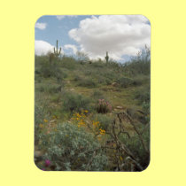 Desert Symphony Decorative Desert Magnet premium magnets