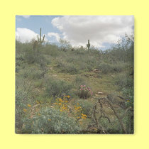 Desert Symphony Desert Refrigerator Magnet