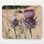 Desert Thistle Mousepad mousepads