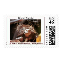 Desert Tortoise Stamp