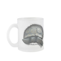 DESERT TURTLE,  COMING AT YA COFFEE MUG