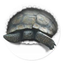 DESERT TURTLE,  COMING AT YA STICKERS