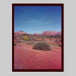 Desert Vista Custom Postcard postcards