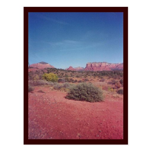 Desert Vista Custom Postcard