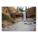 Desert Waterfall cards