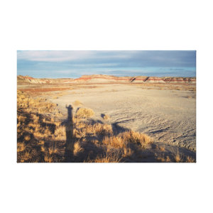Desert Wave: Petrified Forest National Park zazzle_wrappedcanvas