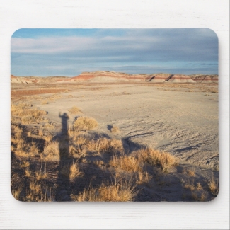 Desert Wave: Petrified Forest National Park