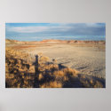 Desert Wave