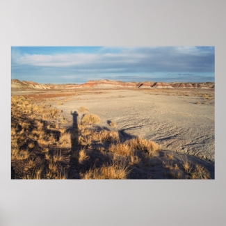 Desert Wave: Petrified Forest National Park