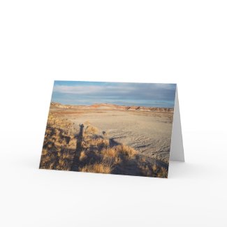 Desert Wave Wish You Were Here card card