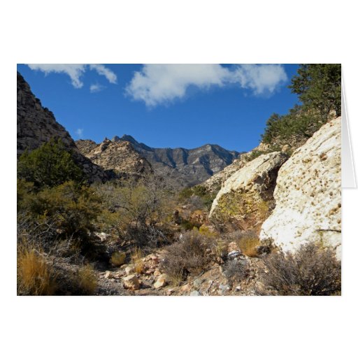Desert Wilderness Card