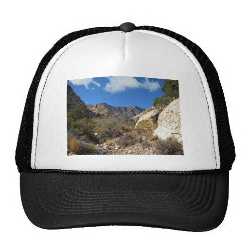 Desert Wilderness Hats