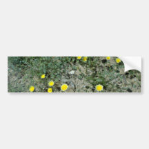 Desert Wildflowers flowers Bumper Stickers