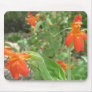 Desert wildflowers mousepad