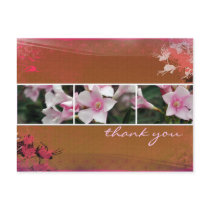 DesertBotanicals Postcard - brown by CACTUSmangoDesigns DesertBotanicals Postcard - brown