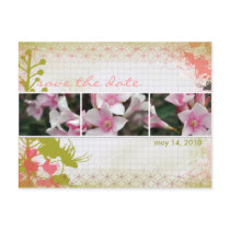 DesertBotanicals Postcard - graph floral by CACTUSmangoDesigns DesertBotanicals Postcard - graph floral