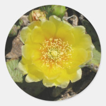 desertflower stickers
