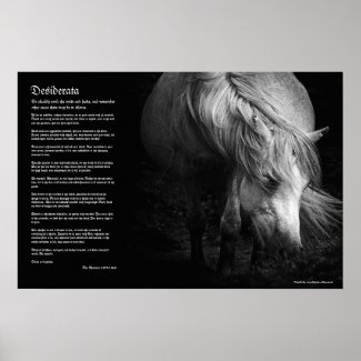 Desiderata - Fine Art Pony Head and Mane Print