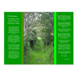 DESIDERATA Grass Road Postcard