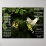 Desiderata Hummingbird Posters