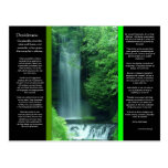 DESIDERATA Waterfalls Postcard