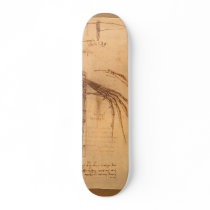 Design for a flying machine. skateboards by LeonardoDaVinci Design for a flying machine. skateboards