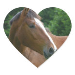 Design your own Custom Photo Stickers Heart Shape