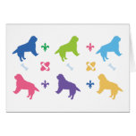 Designer Bernese Mountain Dog Print cards