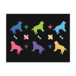 Designer Bernese Mountain Dog Print Postcard