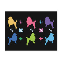 Designer Poodle Post Card