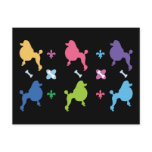 Designer Poodle Post Card