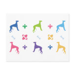 Designer Whippet Post Card