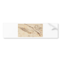 Designs for a boat. bumper stickers