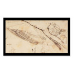 Designs for a Boat by Leonardo Da Vinvi Business Cards