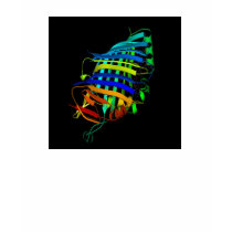 desing color t-shirts by LindaBeb desing color t-shirts