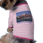 Desing Your Own Cute Pet Clothing Line
