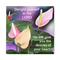 Desires of Your Heart magnets