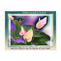 Desires of your heart postcards