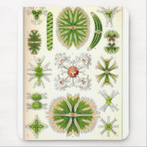 Desmid Mousepad mousepads