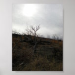 Desolation Poster