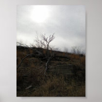 Desolation Poster