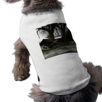 Despaired pet clothing